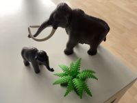 Playmobil Mammut Steinzeit  5105 Kiel - Wellsee-Kronsburg-Rönne Vorschau