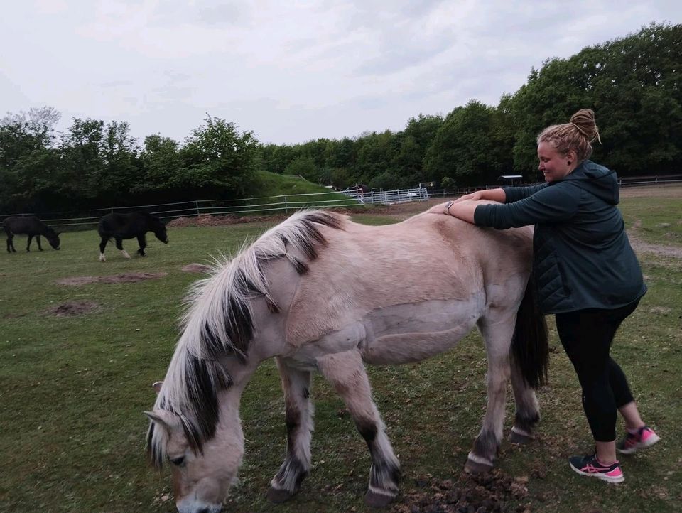 Tierosteopathie und Tierphysiotherapie in Norderstedt