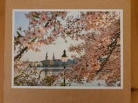 Hamburg Puzzle- Alster mit Kirschblüten Hamburg Barmbek - Hamburg Barmbek-Süd  Vorschau