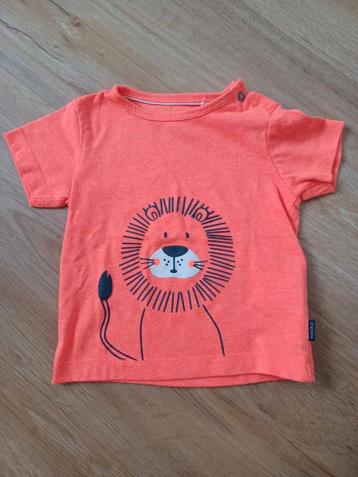 T-Shirt von Staccato, Gr. 74, orange mit Löwe in Norderstedt