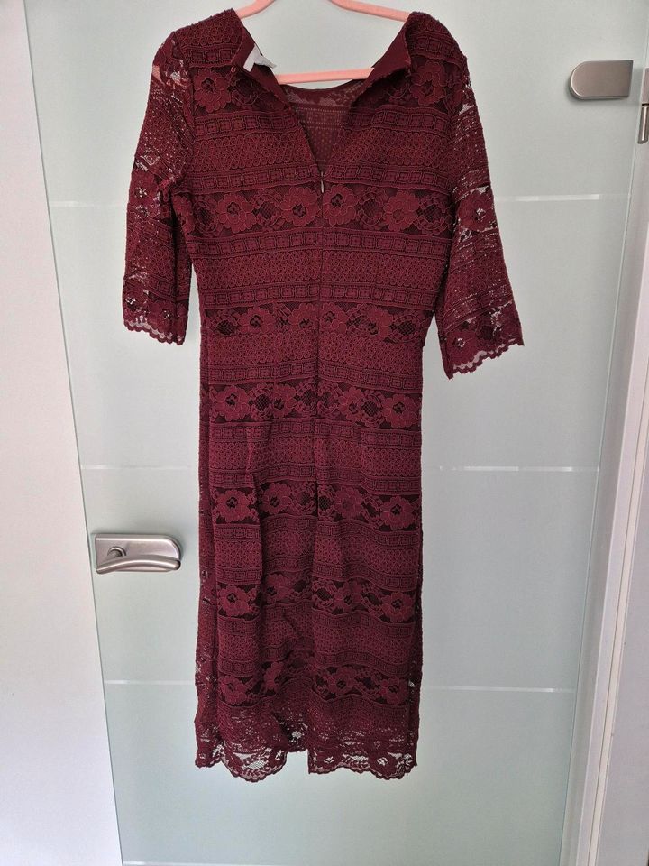 H&M Kleid Spitze Weinrot Bordeaux S Midi in Duisburg