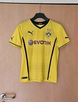 BVB Trikot Gr. 164 2013 2014 Borussia Dortmund Gelb Puma Flocklos Münster (Westfalen) - Hiltrup Vorschau