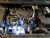 Peugeot 307 Hdi136 Motor Getriebe Kat noch eingebaut Niedersachsen - Friedeburg Vorschau
