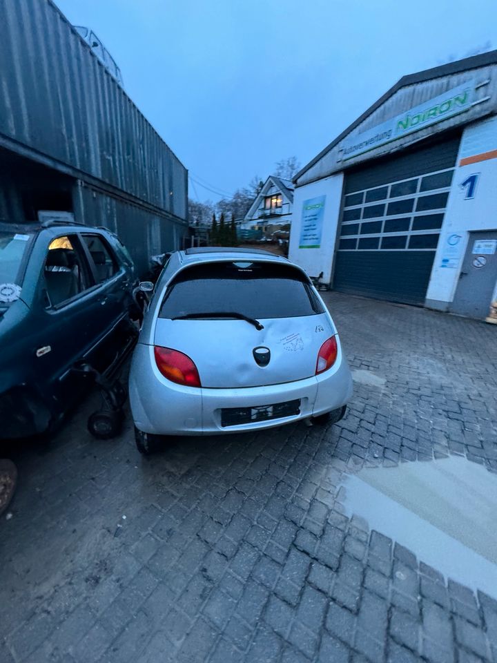 Ford Ka 1.3 L 44 KW Autoteile Ersatzteile Schlachtfest in Waldbröl