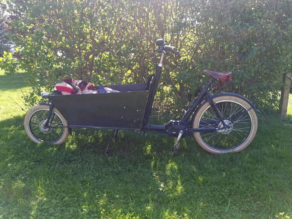 Lastenrad Bakfiets schwarz Cargo long e-bike in Lüdershagen