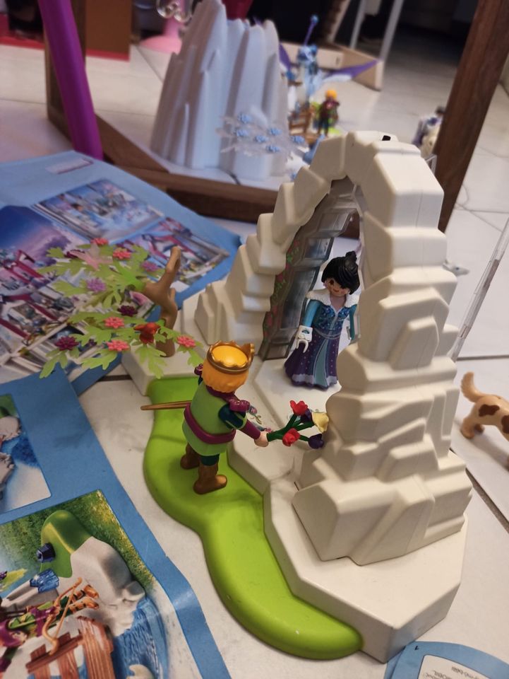 Playmobil Kristalpalast Schloss in Herzogenrath