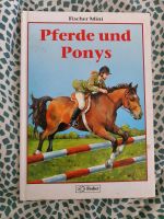 Pferde und Ponys Bayern - Geiselbach Vorschau