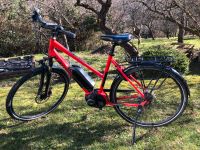 Stevens „E-molveno“ E-Bike Stuttgart - Sillenbuch Vorschau