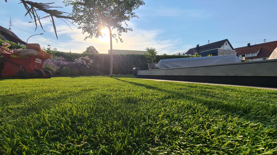 Kunstrasen Garten Balkon Terrasse verlegen Landscaping Unterbau in Mannheim