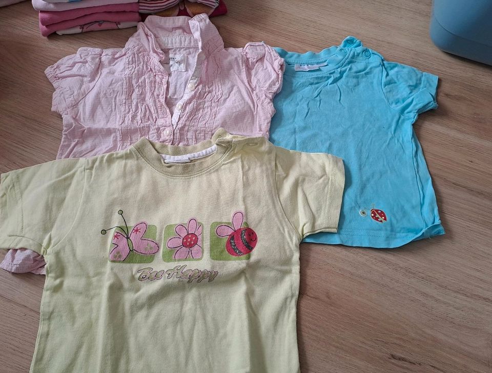 T-Shirts, 3 Stück,  74/80 in Gaildorf