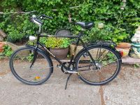 Peugeot Herrenrad, Fahrrad 28er Nordrhein-Westfalen - Detmold Vorschau