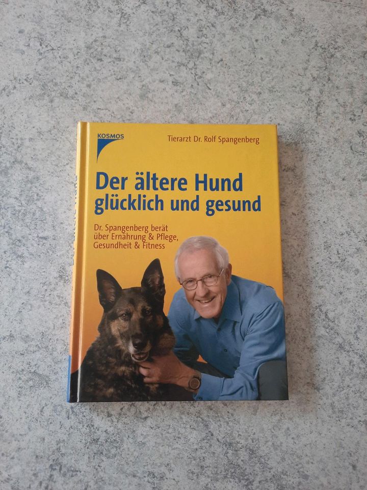 Der ältere Hund glücklich und gesund von Rolf Spangenberg in Niederzier