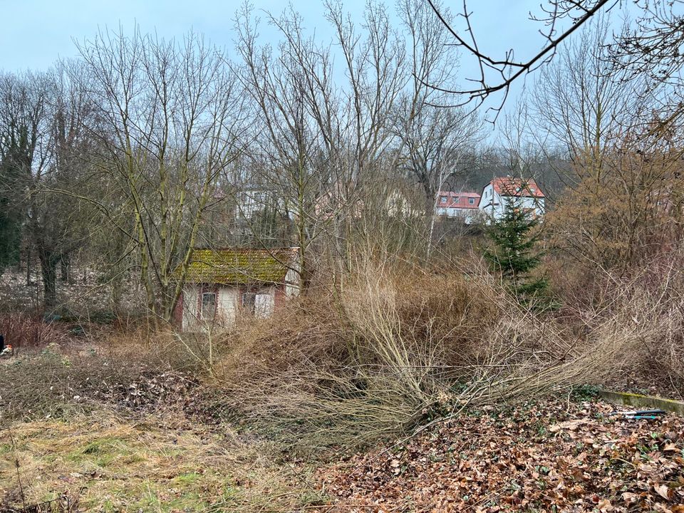 Baumfällung, Baumpflege, Gartenarbeiten, Bagger u. Abrissarbeiten in Naumburg (Saale)