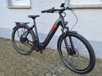 NEU! - Malaguti CORTINA WV 6.0 EN (Trekking E-Bike) Niedersachsen - Löningen Vorschau