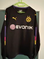 Puma LA Trainingsset T-Shirt Gr.152  neu o. Etikett BVB, Dortmund - Wickede Vorschau