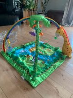 Fisher Price Rainforest Baby Hessen - Baunatal Vorschau