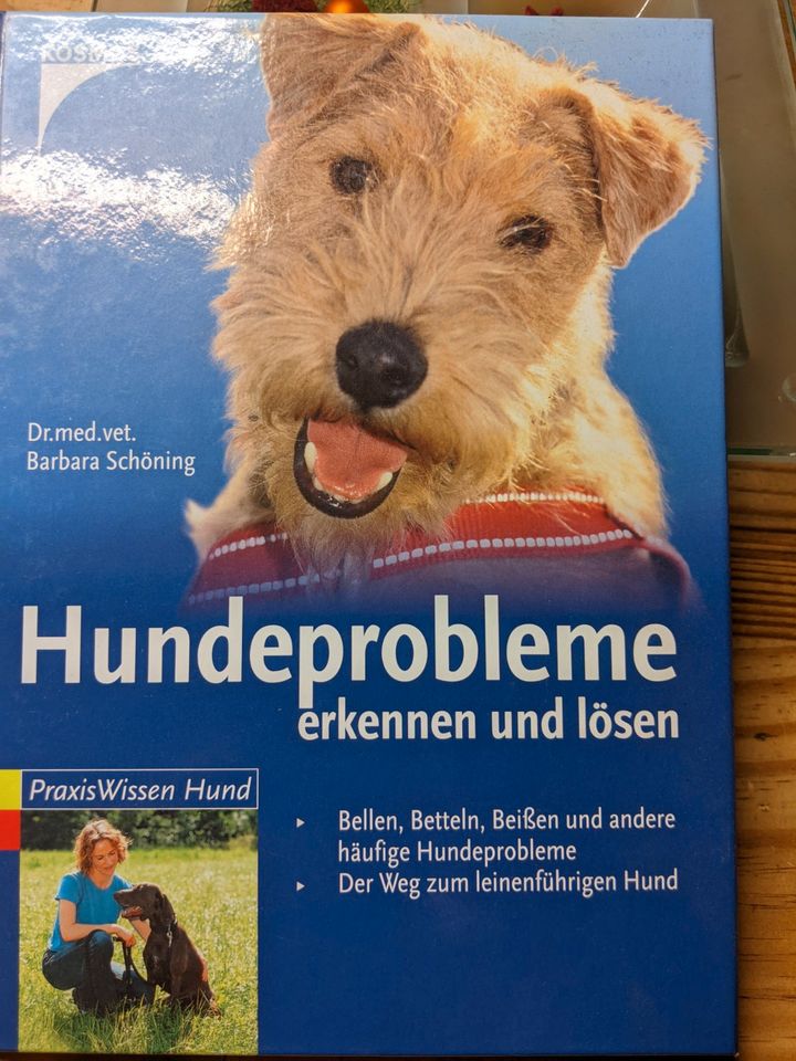 Dr.med.vet B. Schöning: Hundeprobleme erkennen und lösen in Penzberg