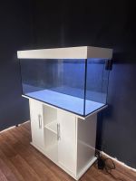 200 Liter Aquarium mit Unterschrank und Zubehör | Fish tank Niedersachsen - Braunschweig Vorschau