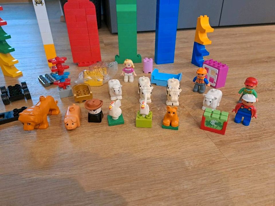 Lego Duplo Steine Tiere Blumen Dach Auto Figuren teilweise neu in Nersingen