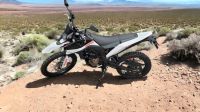 Malaguti XTM 125 ABS *NEU* 15PS Enduro Brandenburg - Falkensee Vorschau