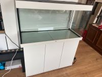 Aquarium Set 350L mit Filter, LED, C02 & Düngeanlage NIE BENUTZT Nordrhein-Westfalen - Gladbeck Vorschau