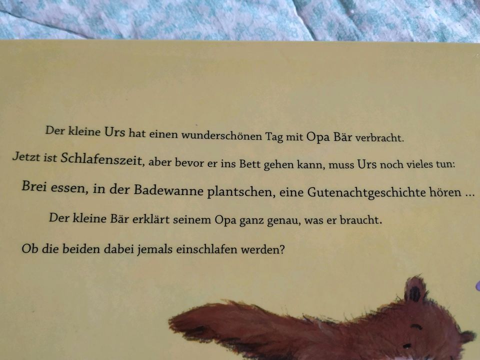 Kinderbuch Heute schlaf ich bei dir Opa! Brunnen Verlag in Platten