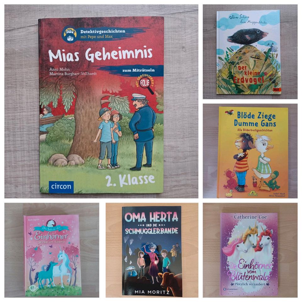Kinderbücher Die drei !!! usw. in Celle