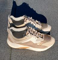 Damen Sneaker Timberland Eimsbüttel - Hamburg Stellingen Vorschau