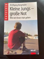 Psychologie Ratgeber Eltern Lehrer Jungs große Not Beltz Müritz - Landkreis - Waren (Müritz) Vorschau