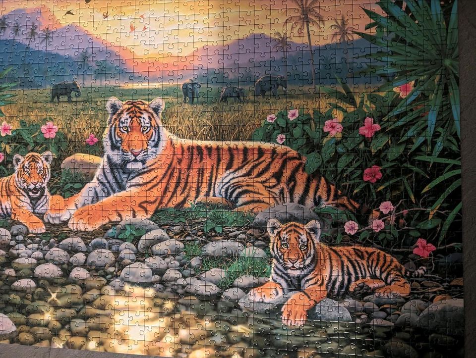 Puzzle 1000 Teile, wie neu, Tiger, vollständig in Schonungen
