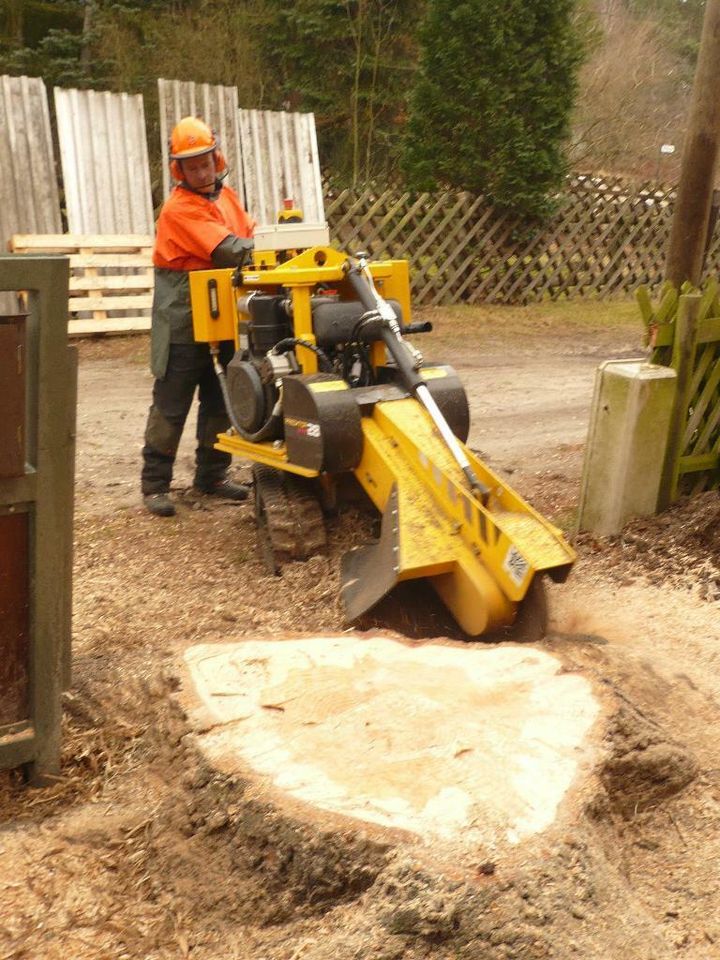 Baumdienst*Baumpflege*Baumfällung*Stubbenfräsen*Brennholz in Neu-Zittau