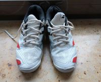 Tennisschuhe Babolat gr.38 Bayern - Lauf a.d. Pegnitz Vorschau