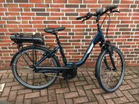 VICTORIA Elektro Fahrrad "eTrekking 5.6 neues Modell Niedersachsen - Rhauderfehn Vorschau