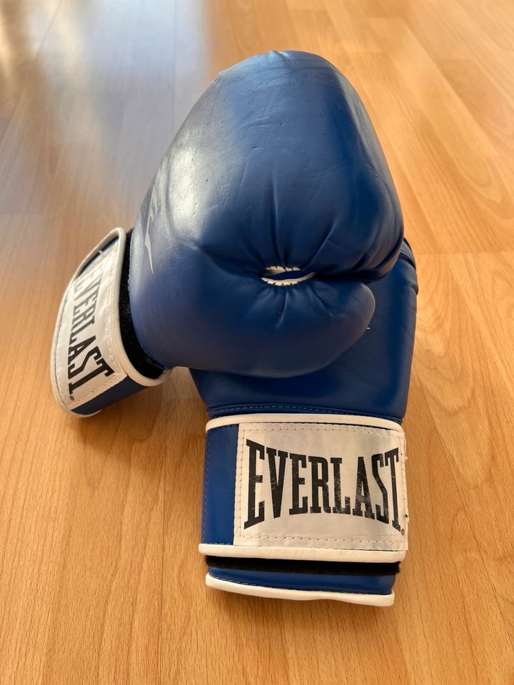 Everlast Boxhandschuhe Ta:10 in Lübeck