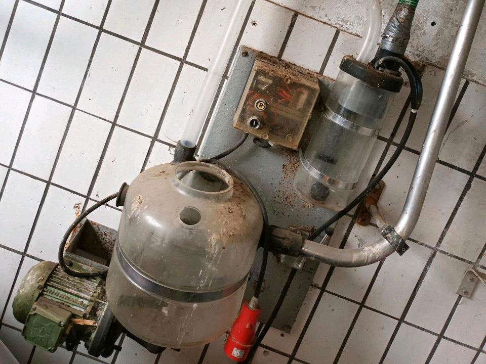 Absauganlage Westfalia Melkmaschine Milch Vakuumpumpe in Petersberg