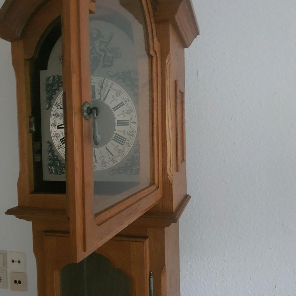 Gebrauchte Standuhr aus Eiche in Alpen