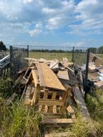 Holz zu verschenken Niedersachsen - Gifhorn Vorschau