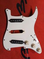 Fender Schlagbrett 2x Seymour Duncan SSL 4 Nordrhein-Westfalen - Lüdinghausen Vorschau