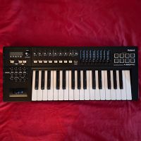 Roland Midi Keyboard A300 Pro OVP NEUWERTIG Östliche Vorstadt - Fesenfeld Vorschau