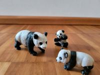 Schleich Pandas Baden-Württemberg - Schwetzingen Vorschau