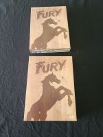 Fury - Die Abenteuer eines Pferdes - Box 1 bis 3 Nordrhein-Westfalen - Schwelm Vorschau