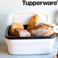 Brotdose Tupperware Hessen - Volkmarsen Vorschau