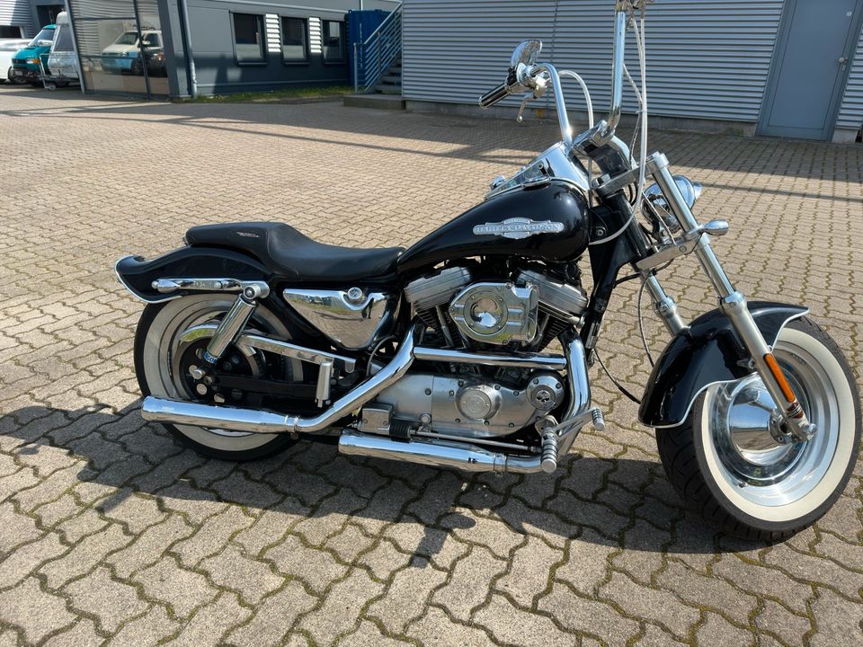 Harley Davidson Sportster 883 Peace Office Spezial Edition in Selmsdorf