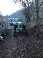 Fendt Dieselross F15 GH Rheinland-Pfalz - Oberalben Vorschau