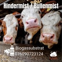 *BIETE* Mist Rindermist Rindergülle HTK Biogas Gärrest Gülle Separat Bullenmist Schweinemist Saarland - Weiskirchen Vorschau