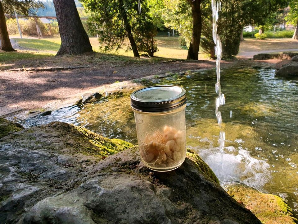 Bio~Macadamia Nüsse/Roh|Macadamiakerne in Premiumqualität|Natur in Berlin