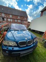 BMW X5 (kein Audi) Hessen - Wabern Vorschau