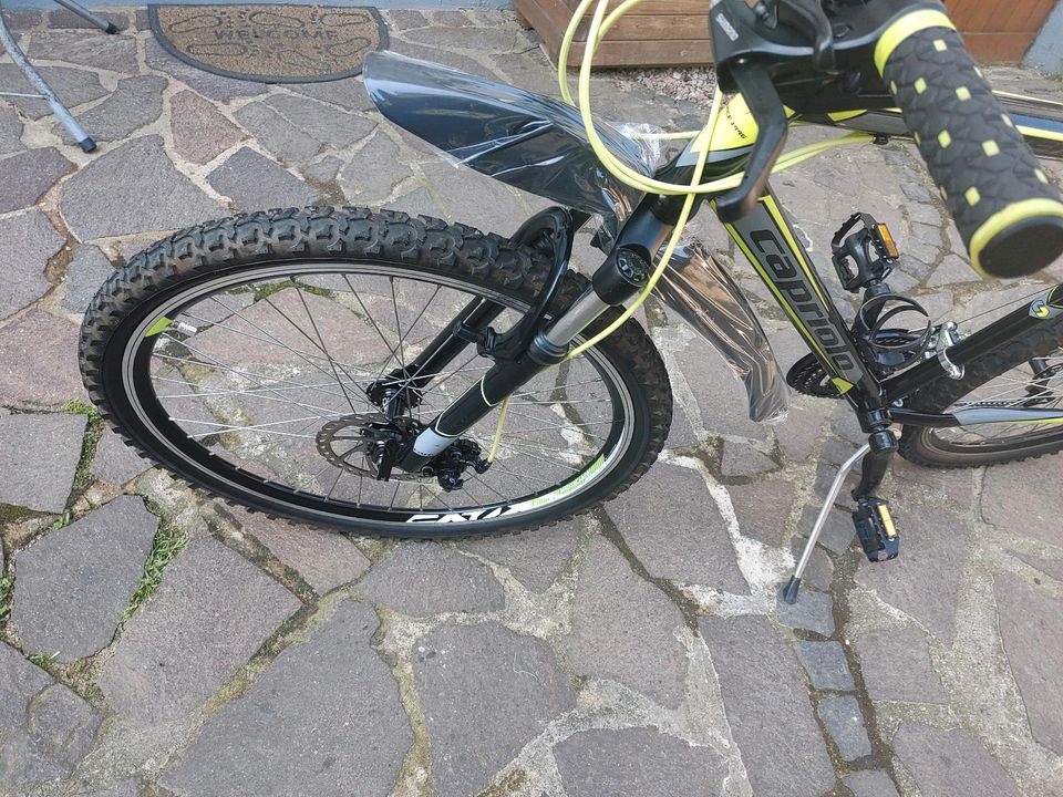 26 Zoll jungen Fahrrad (Capriolo. ) in Uetersen