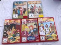 Bibi und Tina Paket (DVD und CD) Schleswig-Holstein - Norderbrarup Vorschau