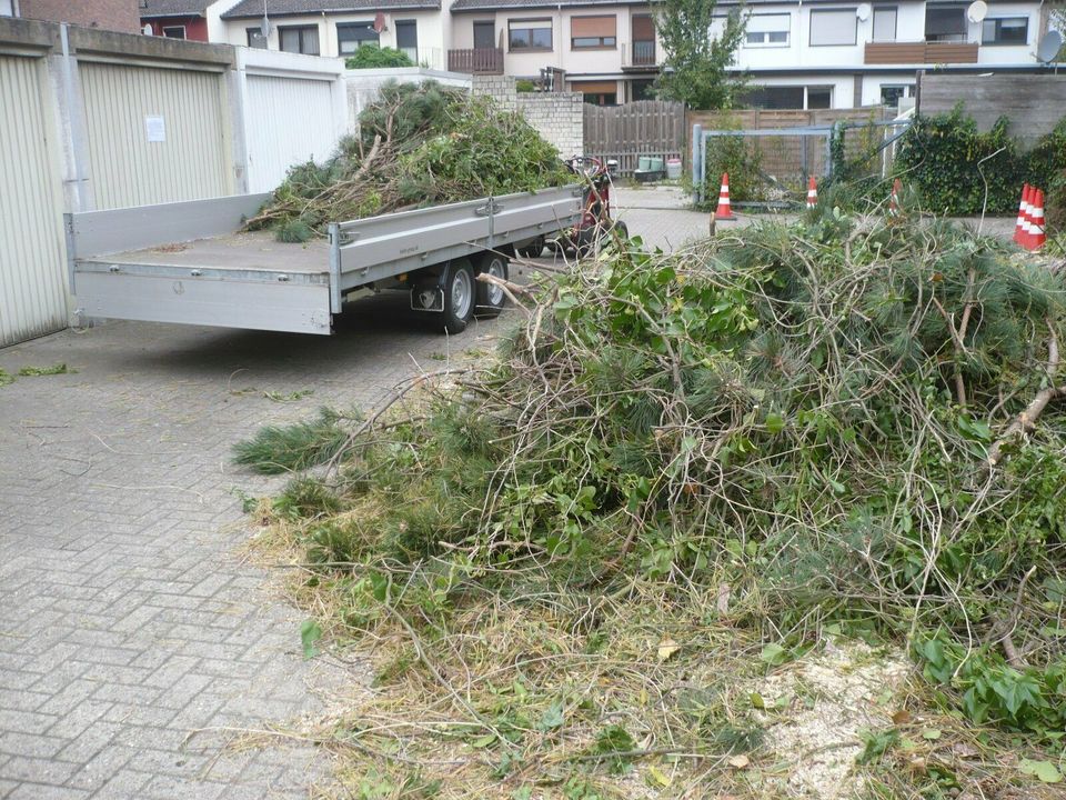 Containerdienst für Strauchschnitt,Hecken,Büsche u.s.w. bis 12 m³ in Ganderkesee